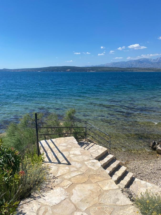 Apartments Mikecin Novigrad  Екстериор снимка