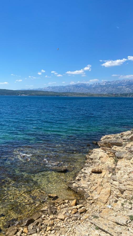 Apartments Mikecin Novigrad  Екстериор снимка