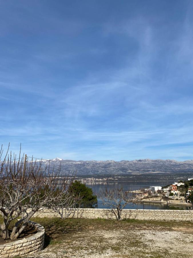 Apartments Mikecin Novigrad  Екстериор снимка