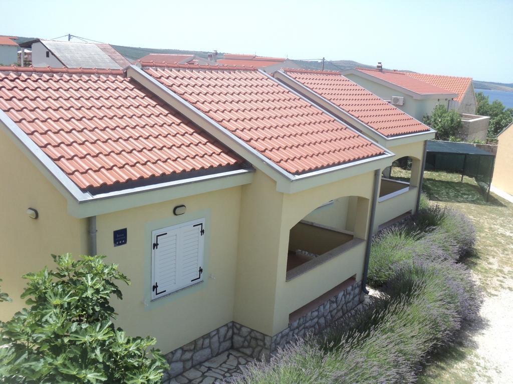 Apartments Mikecin Novigrad  Екстериор снимка
