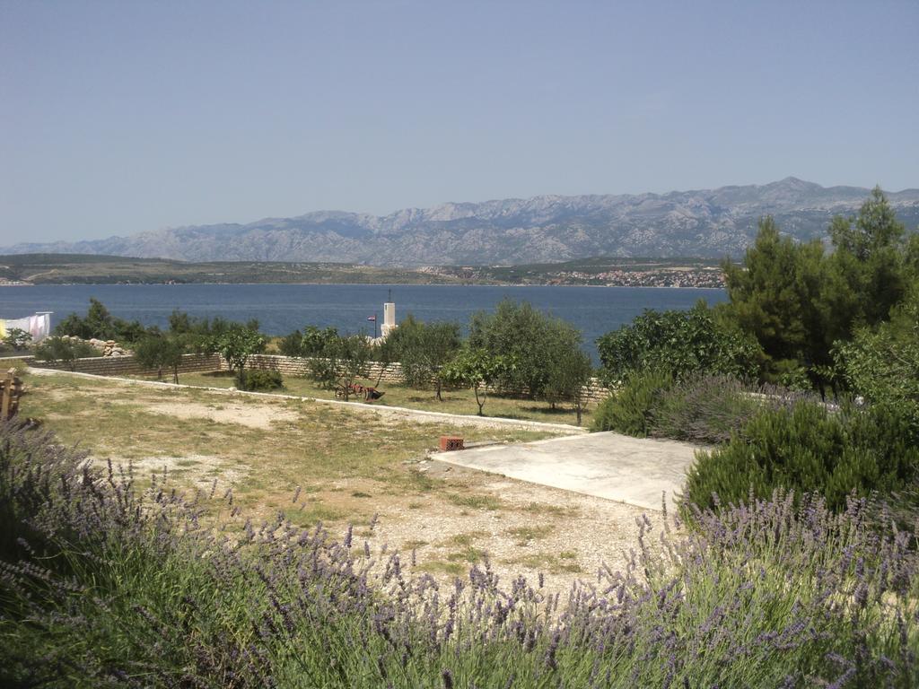 Apartments Mikecin Novigrad  Екстериор снимка